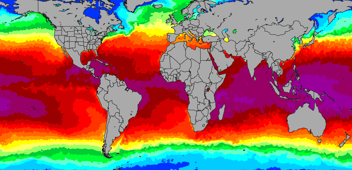 In hot water: The devastating impact of rising ocean temperatures